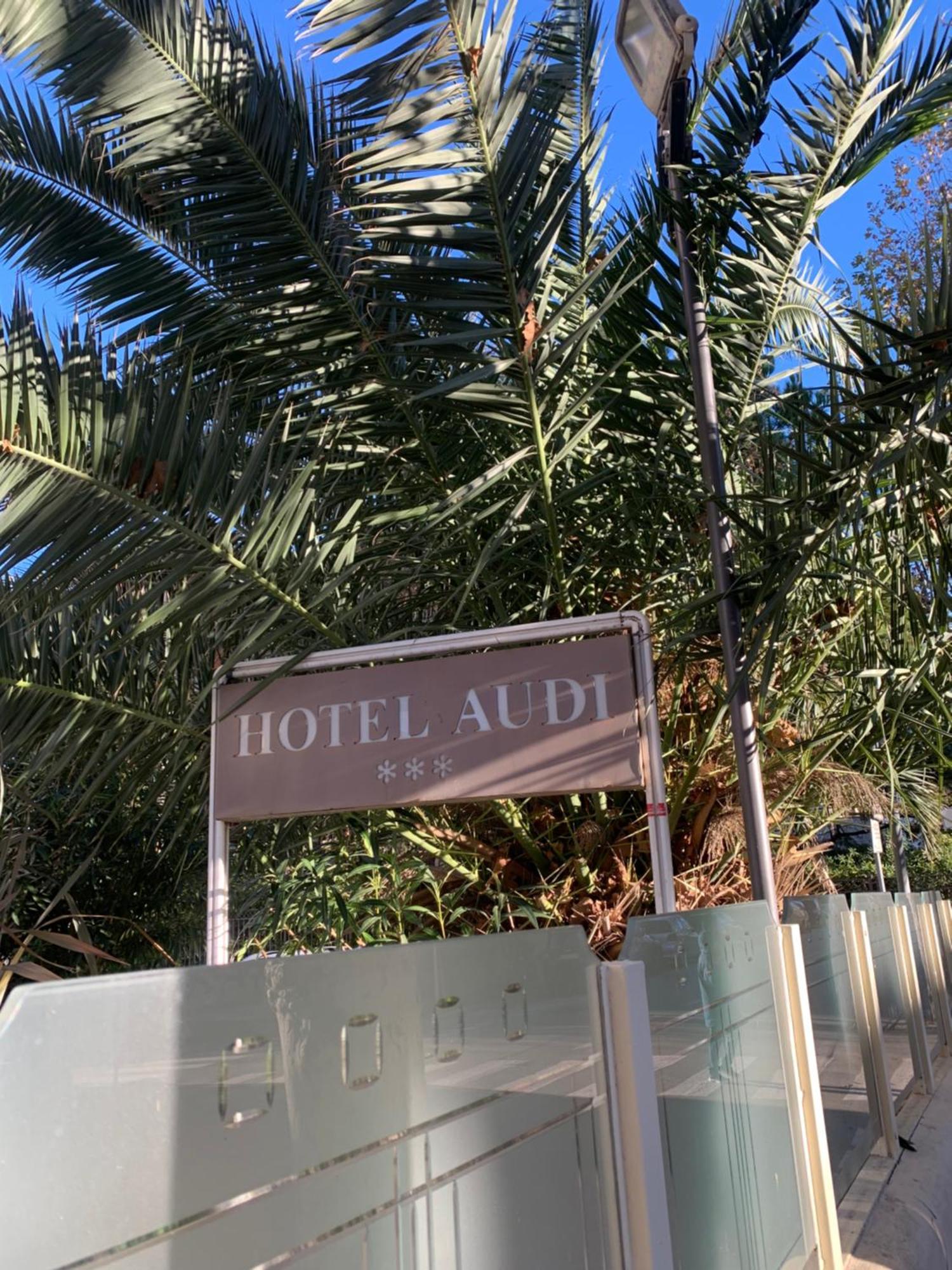 Hotel Audi Frontemare Ріміні Екстер'єр фото
